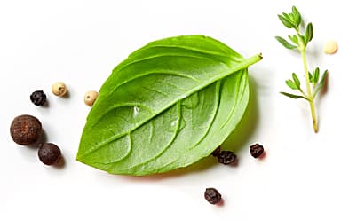 A photo of a fresh sprig of thyme, a basil leaf, and an assortment of red, black and white peppercorns.